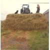 Silage making.
