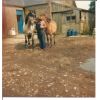 Robbie with ponies