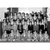 New Pitsligo Girl Guides