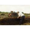 Stump Peats