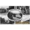 New Pitsligo postcard