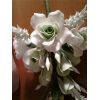 Spray of roses