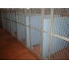cat pens