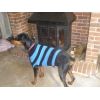 aries wearing a jumper