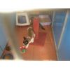 sassie with a toy.