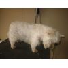 tilly after