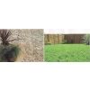 Paving and Astroturf