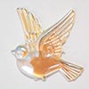 Dove