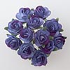 Hyacinth