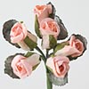 Pale Pink