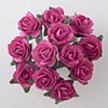 Fuschia