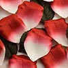 Paper Rose Petals