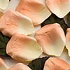 Paper Rose Petals