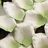 Paper Rose Petals
