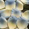 Paper Rose Petals