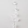 Clear/Silver