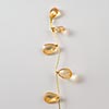 Amber/Gold