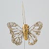 Ivory/Gold