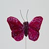 Burgundy/Damson