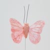 Pale Pink