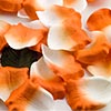 Paper Rose Petals