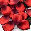 Paper Rose Petals