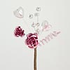 Antique Rose