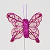 Cerise