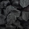 Paper Rose Petals