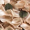 Paper Rose Petals