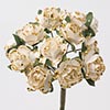 Gold/Ivory