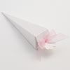 Cone