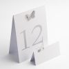Butterfly Place Cards
