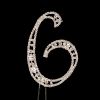 Cake Topper