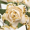 Gold/Ivory