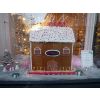 Christmas window 2010