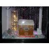 Christmas window 2010