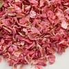 Real Flower Confetti