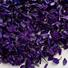 Real Flower Confetti