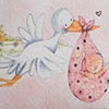 Stork &amp; Baby