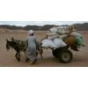 Bedu Cart