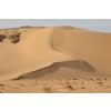 Dune 2