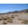 Green Wadi
