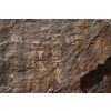 Inscription