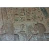 Seti closeup