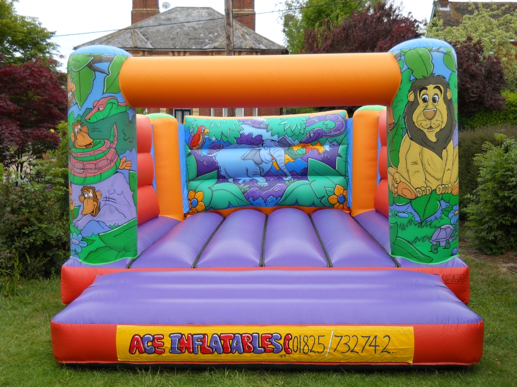 13 ft x 17 ft jungle bouncy castle