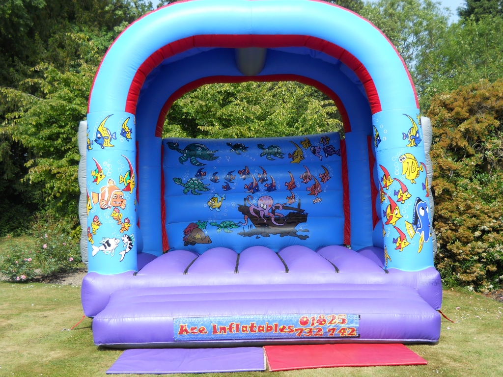 15 ft x 17 ft adult bouncy castle