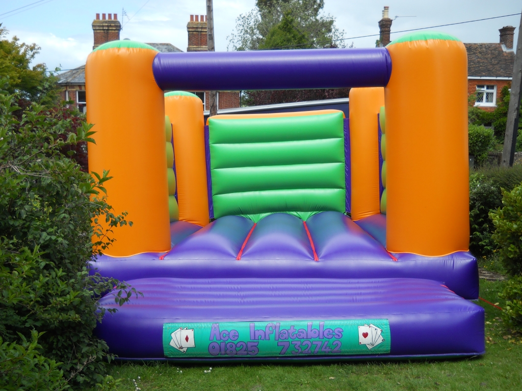 16 ft x 21 ft adult bouncy castle