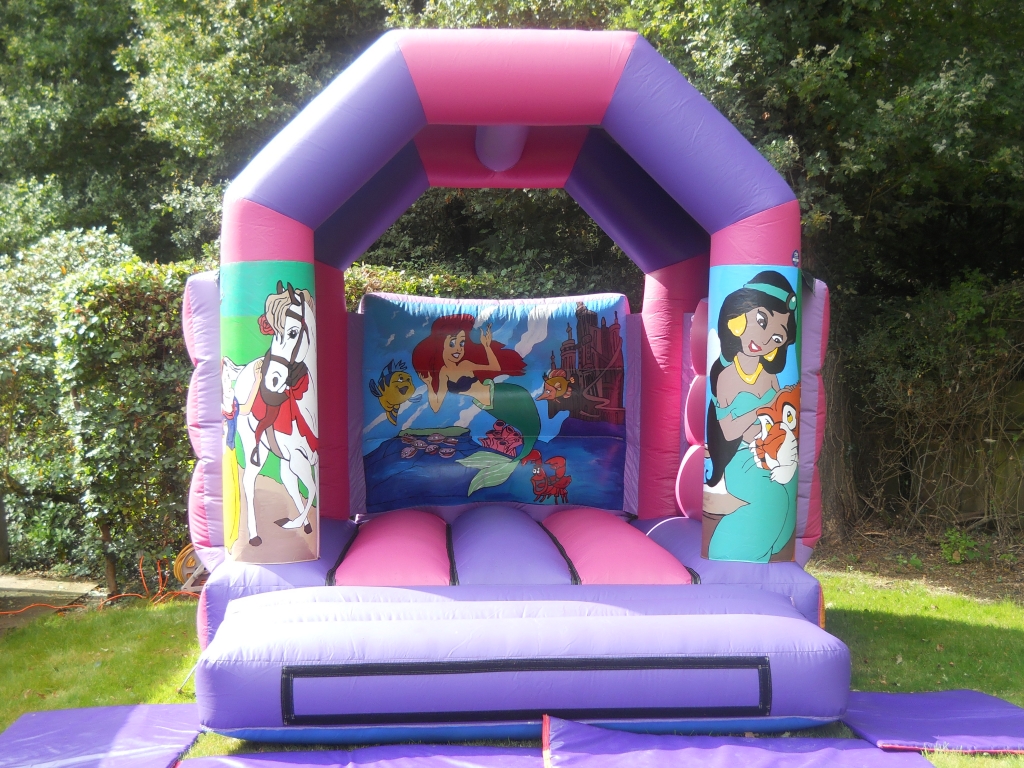 11 ft x 15 ft princess bouncy castle