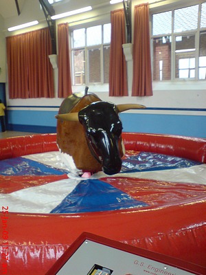 rodeo bull, bucking bronco